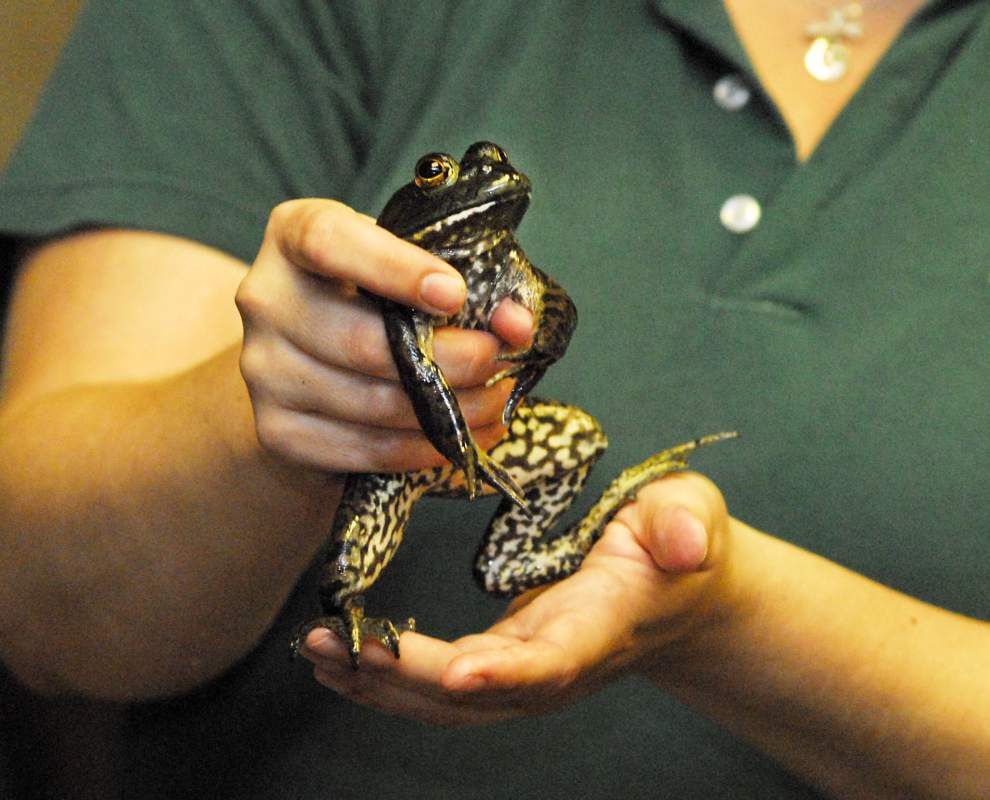 Visitors to Tickfaw State Park get up close and personal with nature _lowres